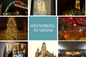 Westerberg w wiedniu (1)